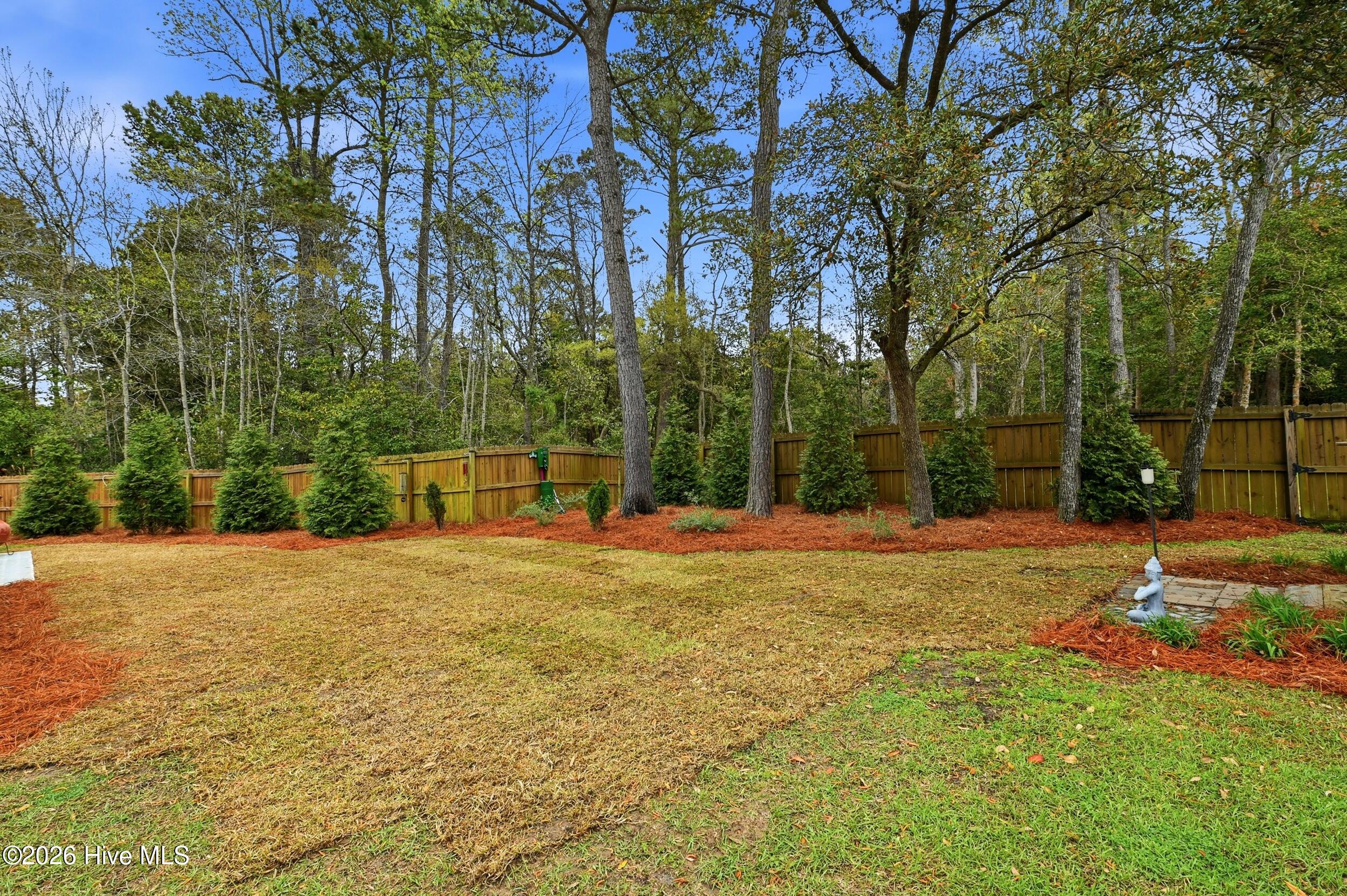 8116 Saltcedar Drive