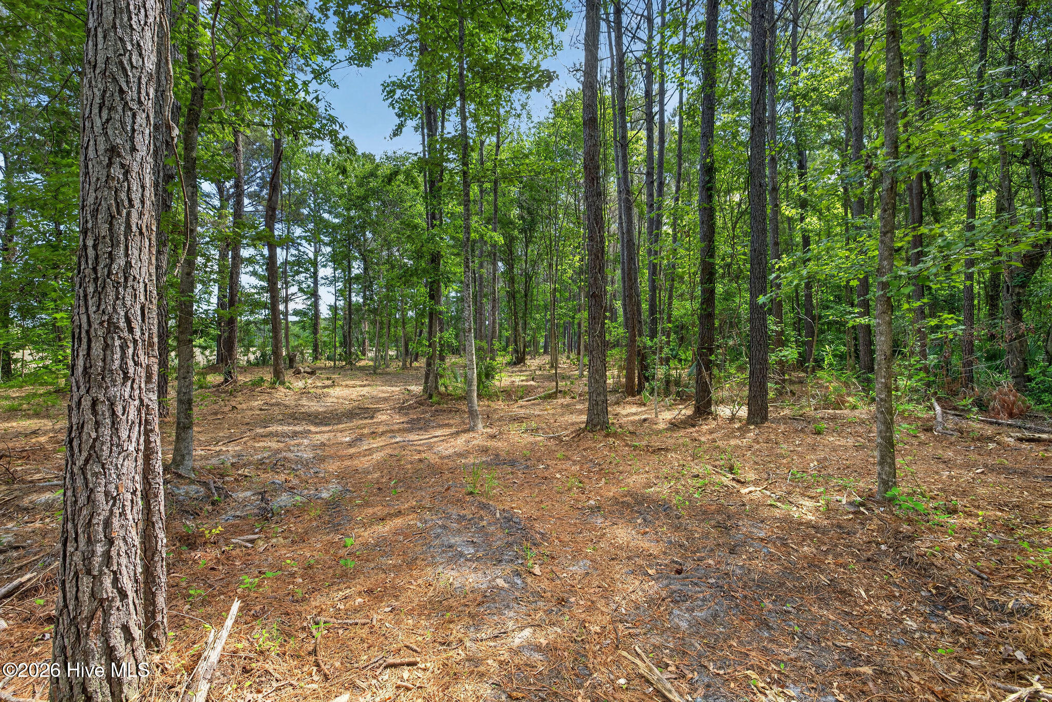 451 Governors Road SE