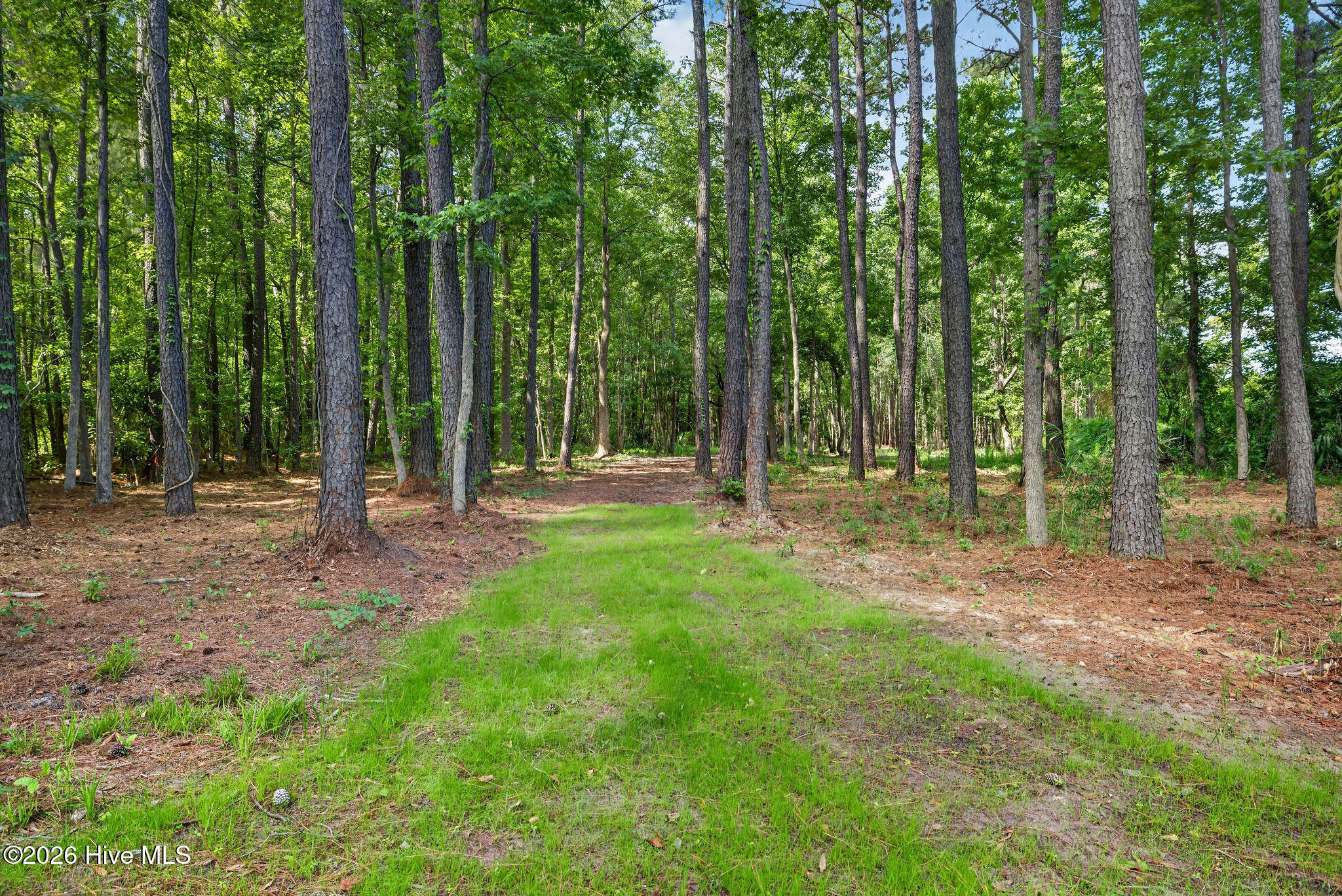 451 Governors Road SE