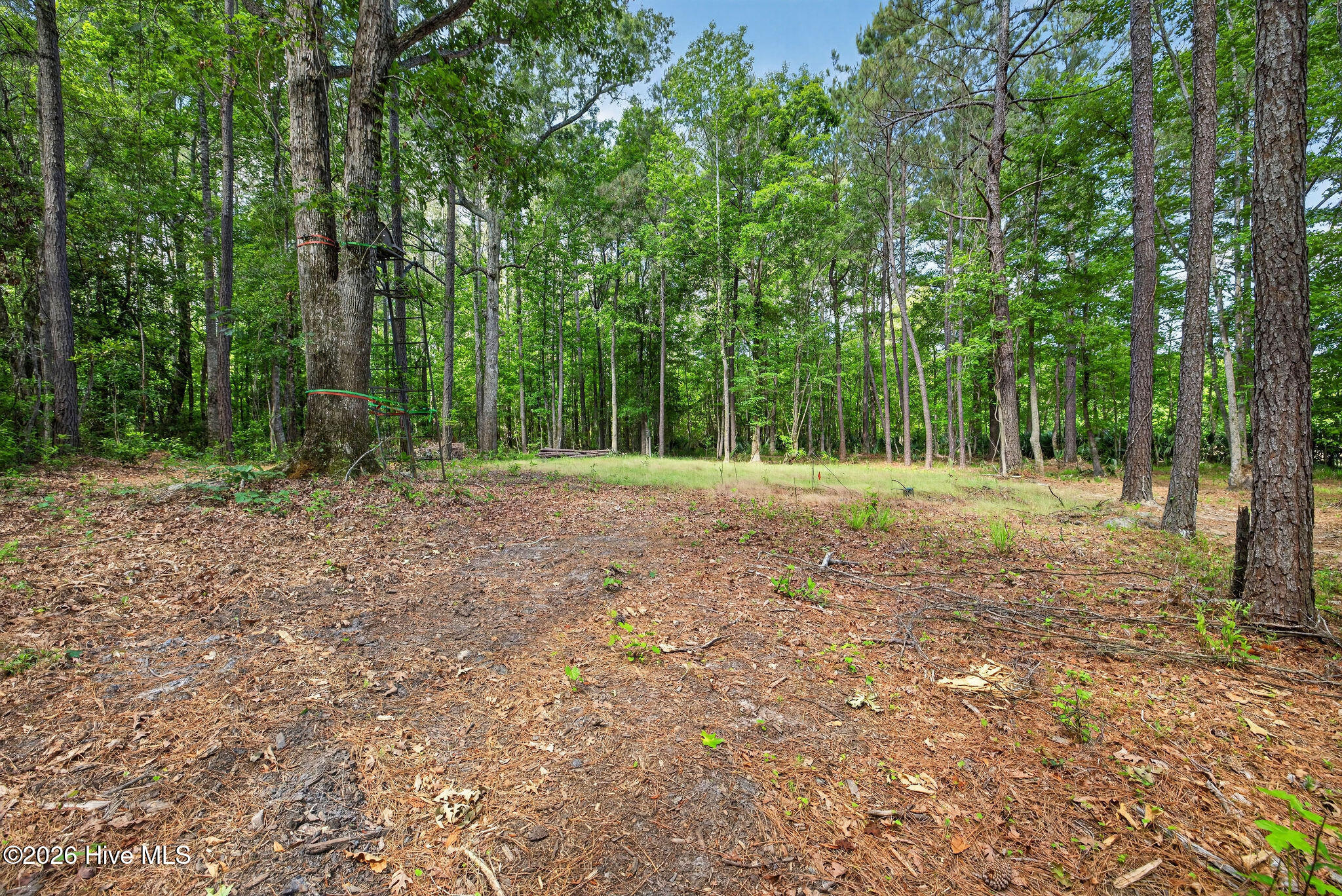 451 Governors Road SE