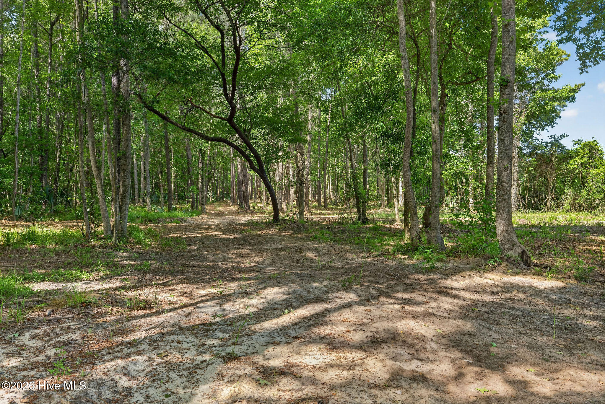 451 Governors Road SE