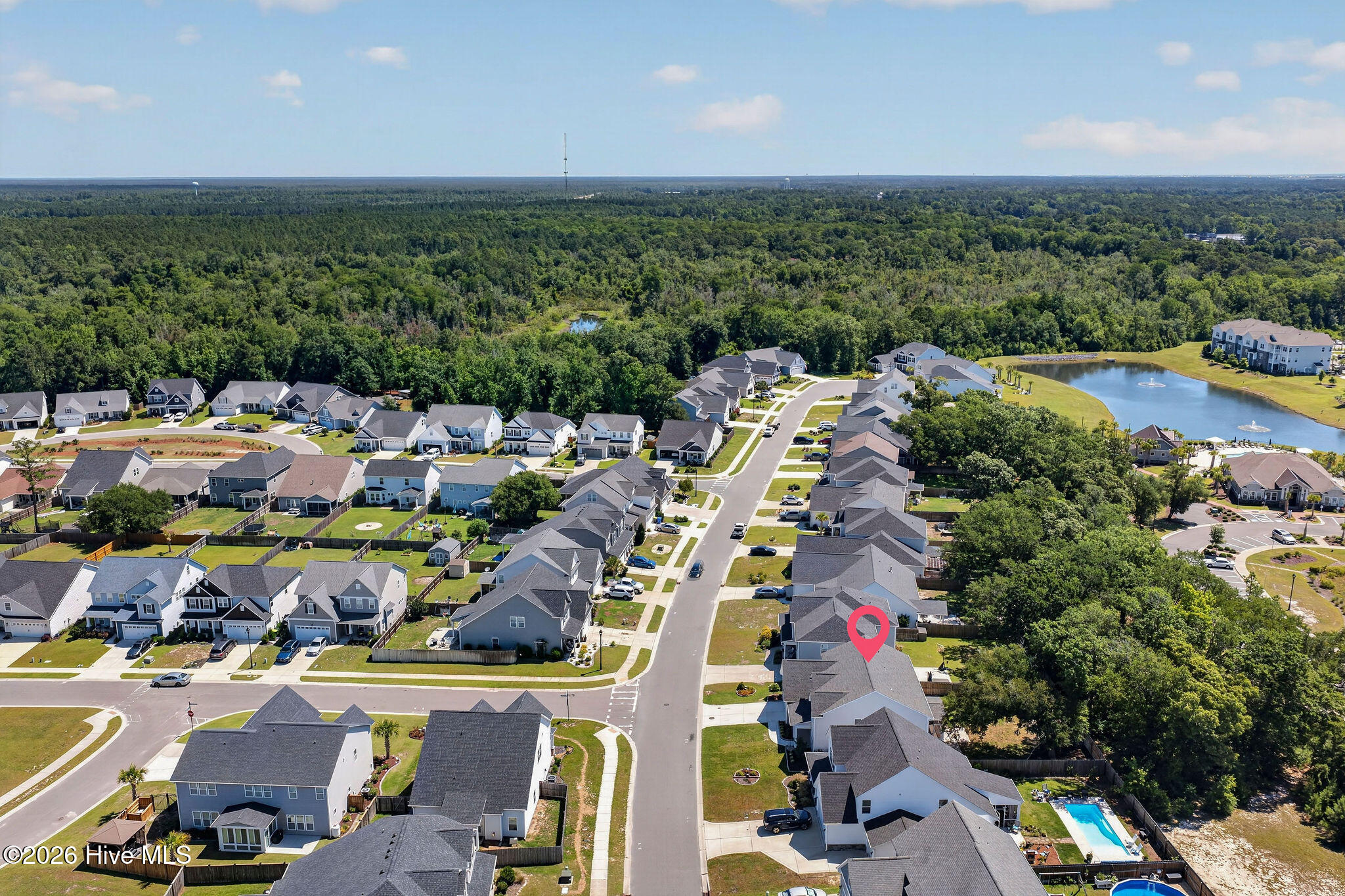 52 Violetear Ridge
