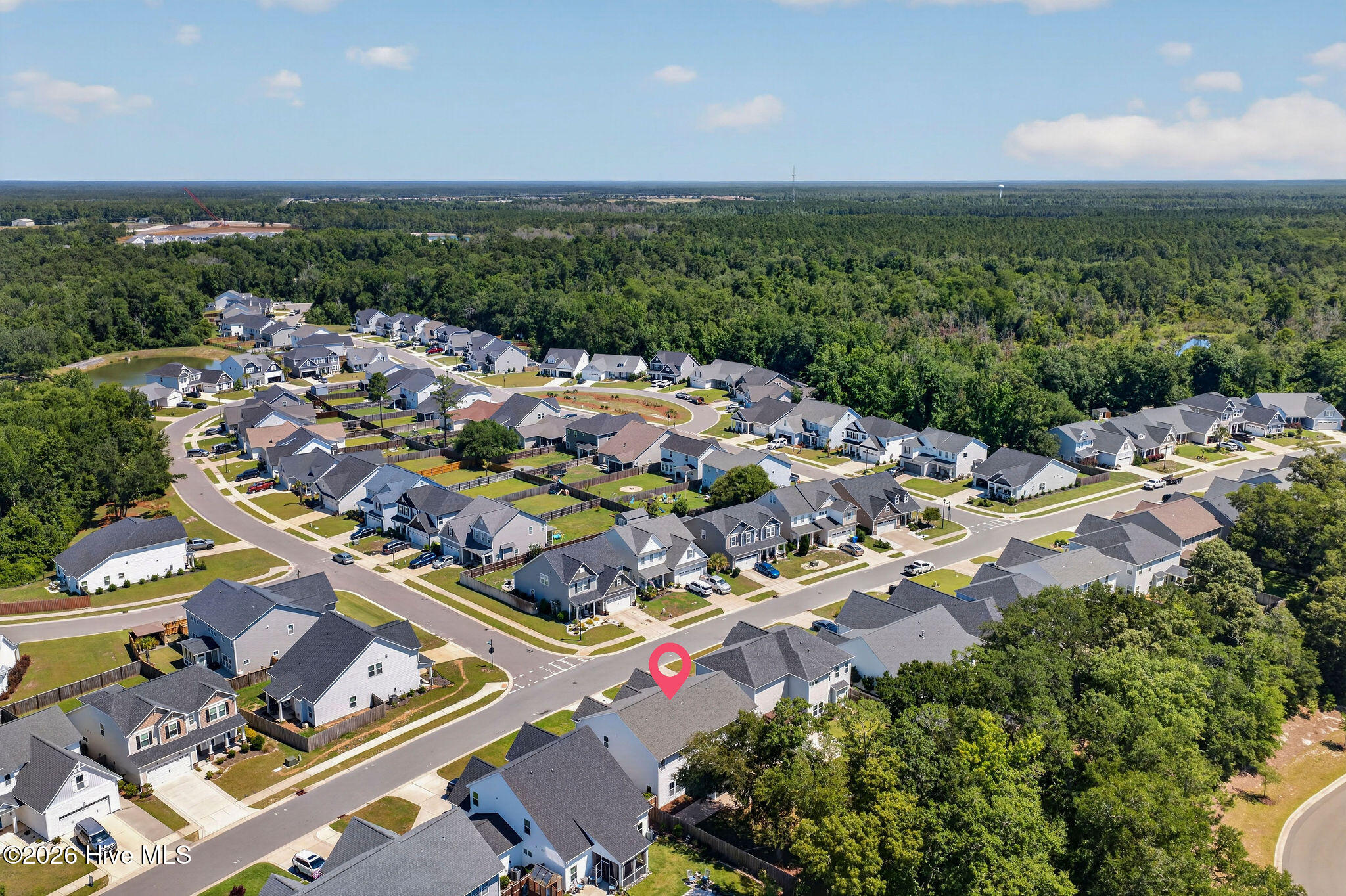 52 Violetear Ridge