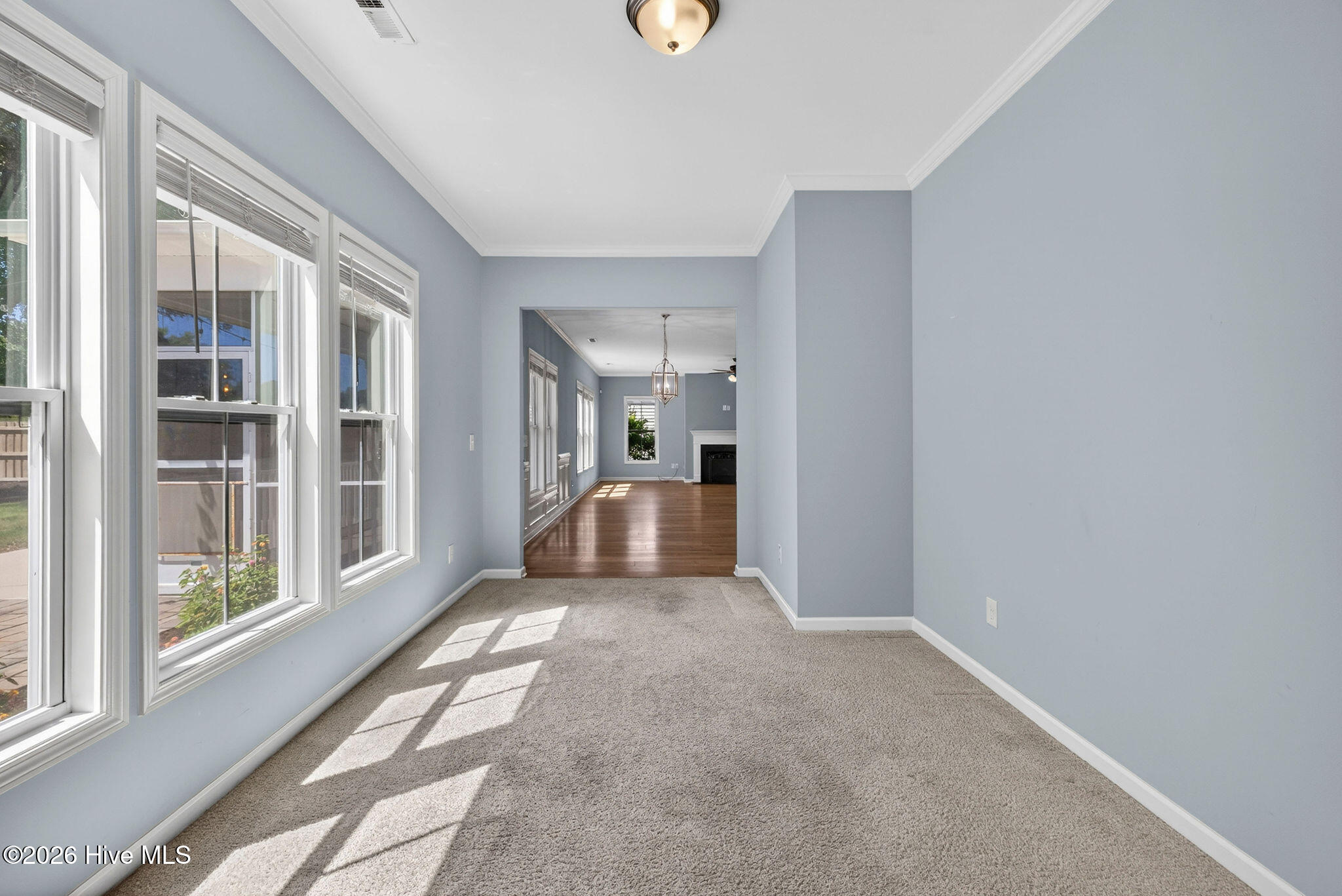 52 Violetear Ridge