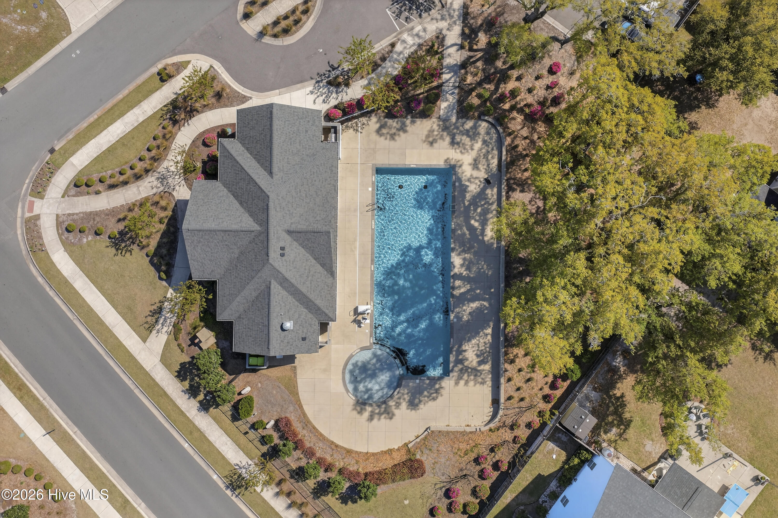 52 Violetear Ridge