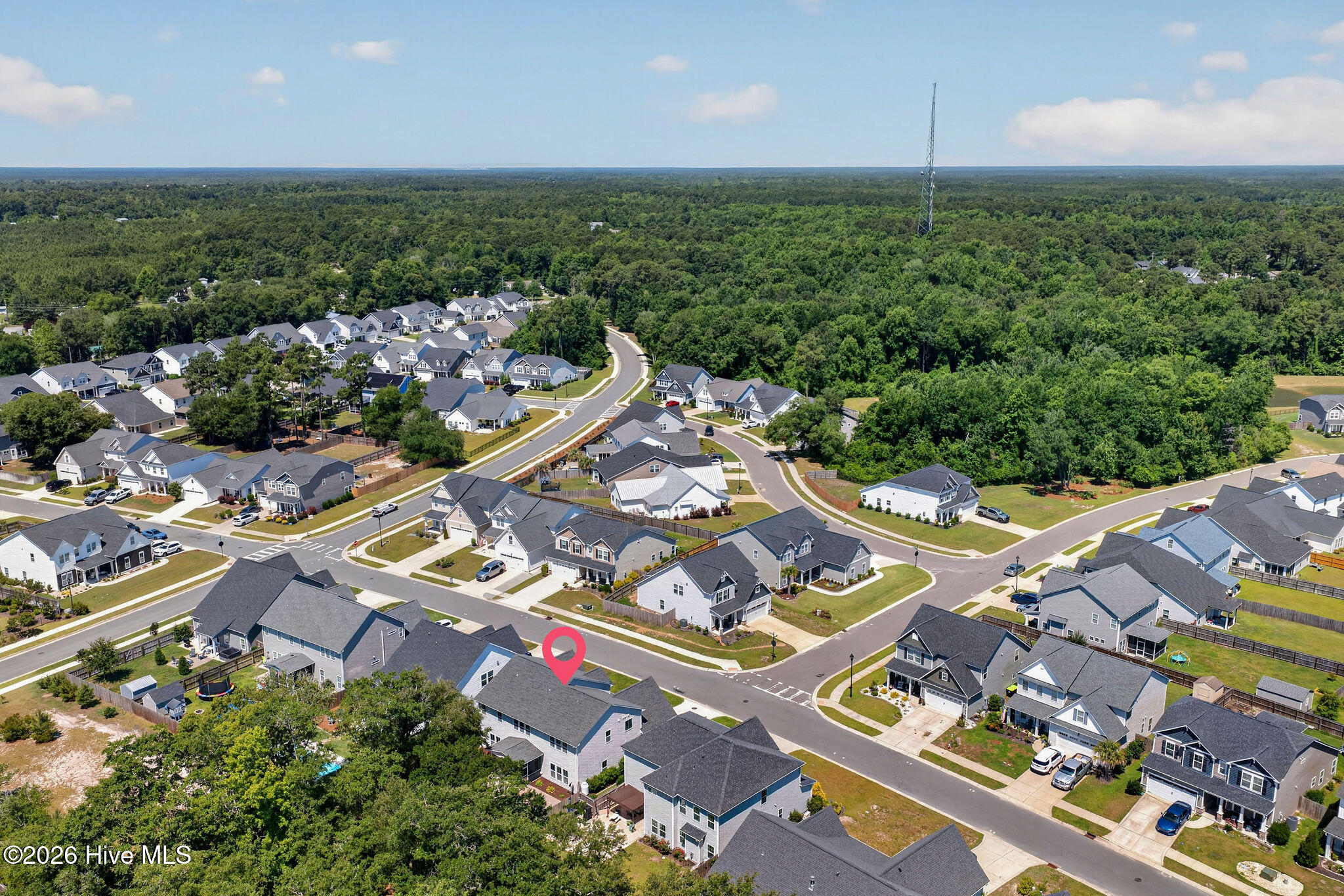 52 Violetear Ridge