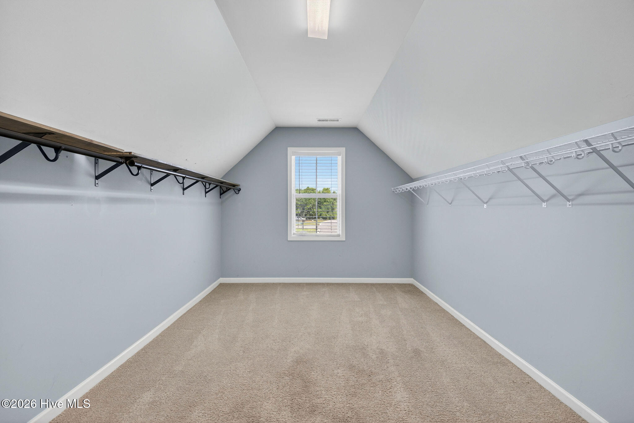 52 Violetear Ridge