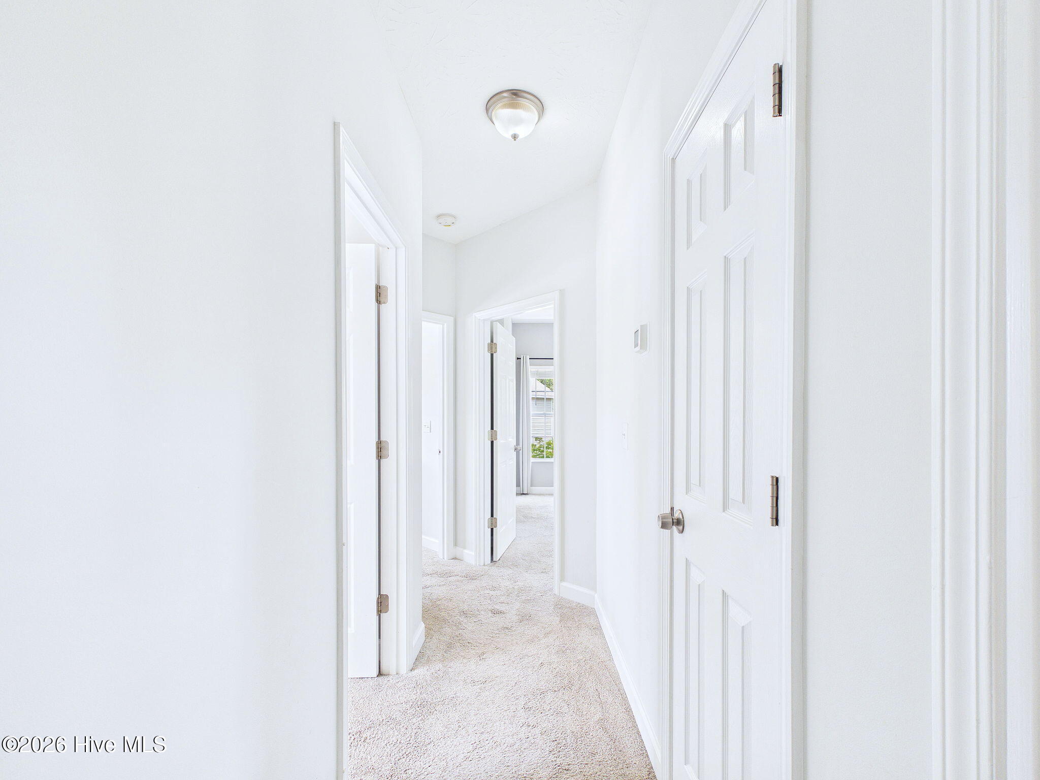 1124 Shelby Court