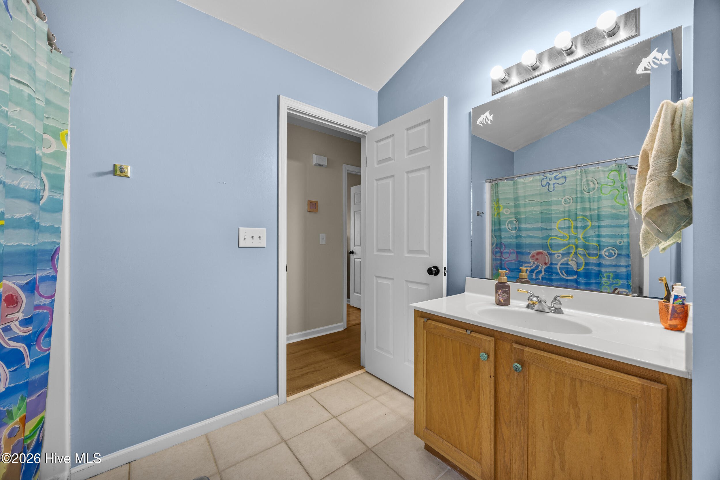 9208 Slice Court