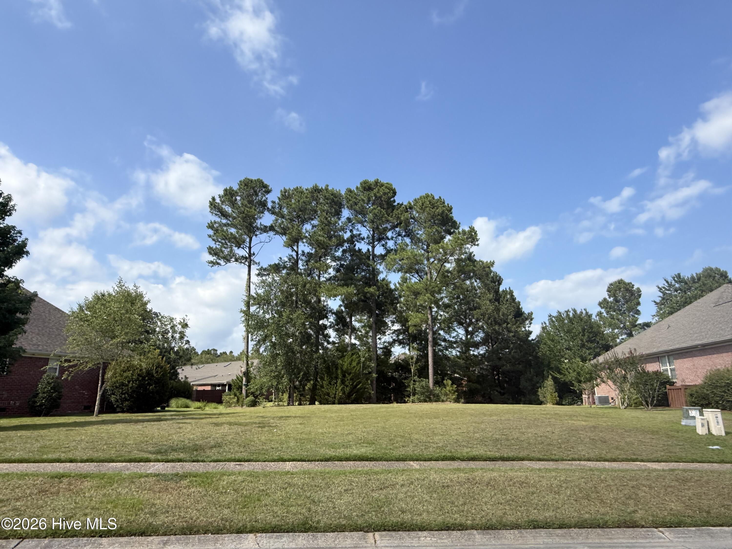 907 341 Spicebush Drive