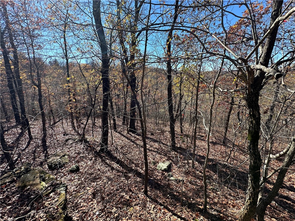 20 Acres m/l Madison 4275