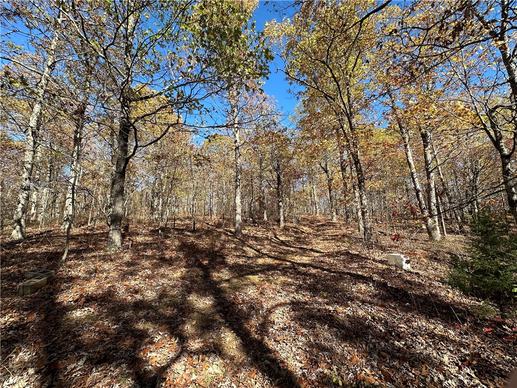 20 Acres m/l Madison 4275
