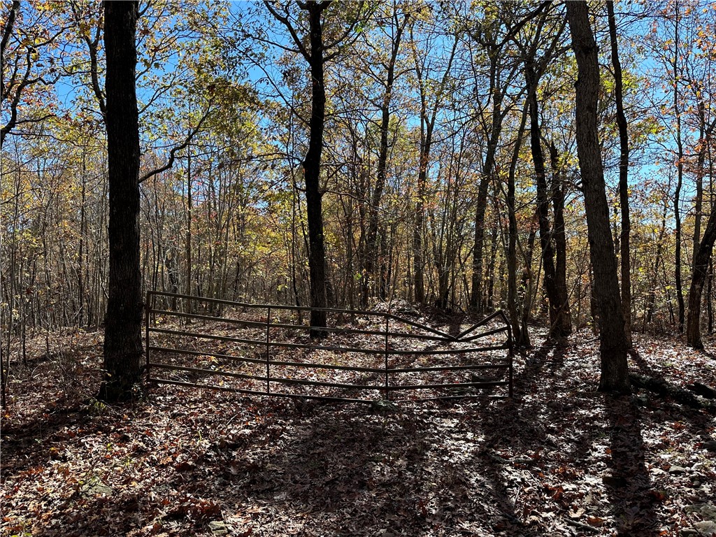 20 Acres m/l Madison 4275
