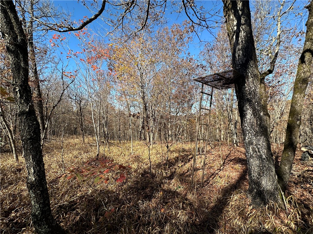 20 Acres m/l Madison 4275