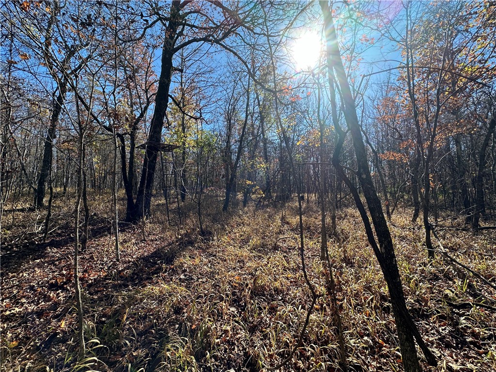 20 Acres m/l Madison 4275