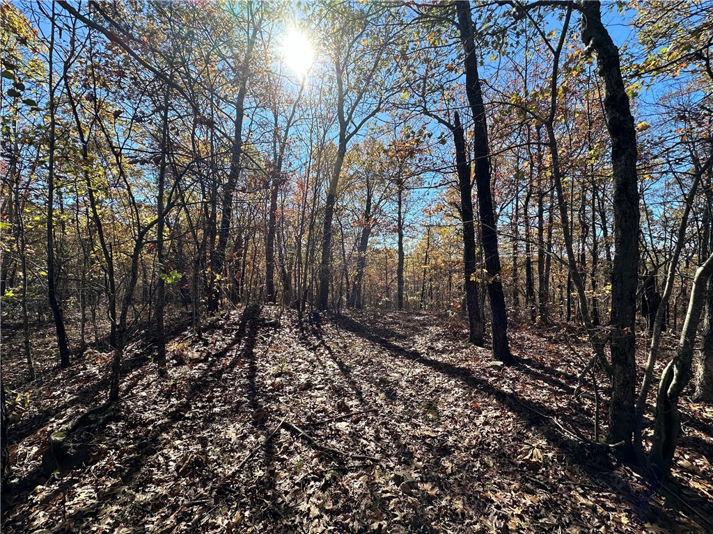 50 Acres Madison 4275