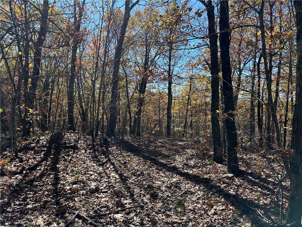 50 Acres Madison 4275