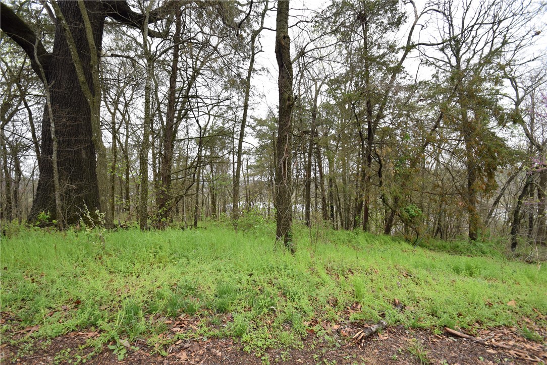 Lot 16 Whitbeck Lane