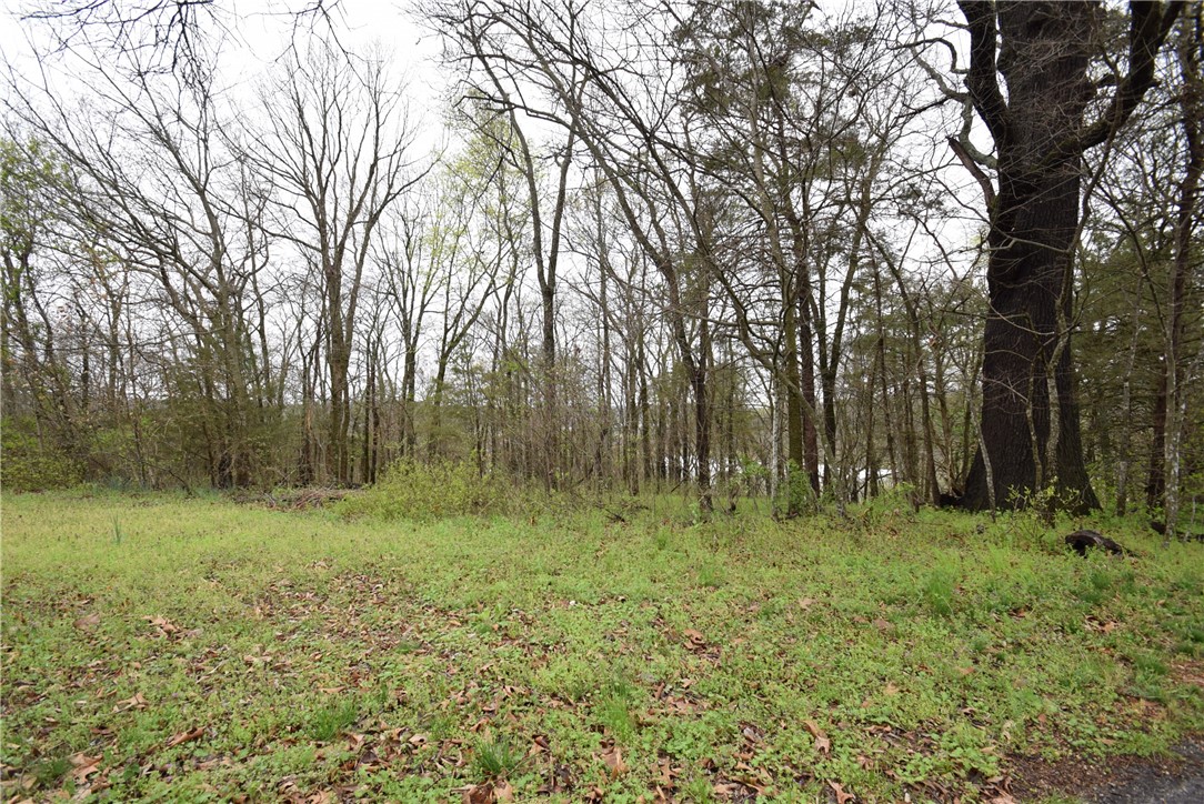 Lot 16 Whitbeck Lane