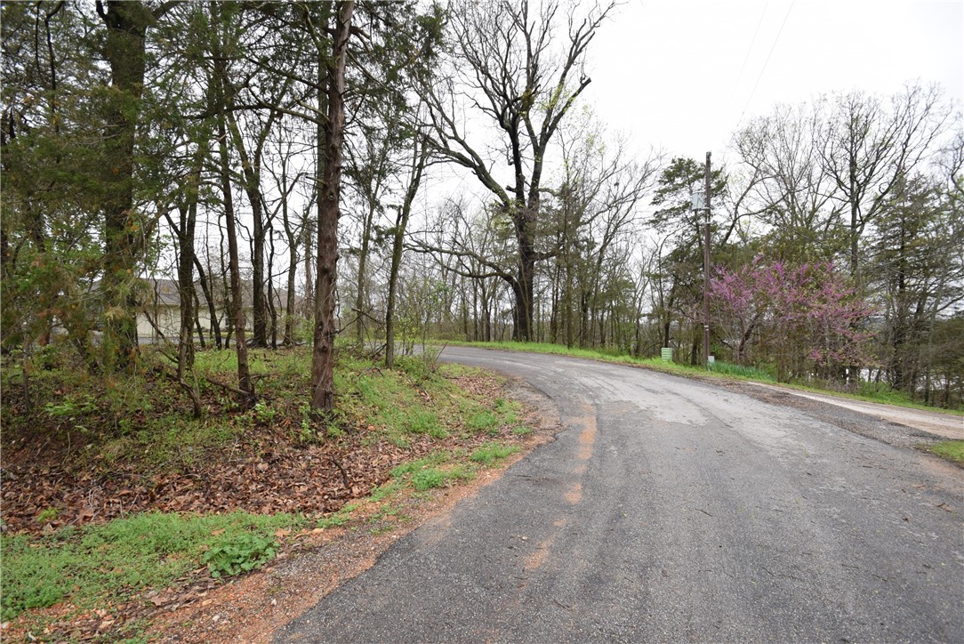 Lot 17 Whitbeck Lane