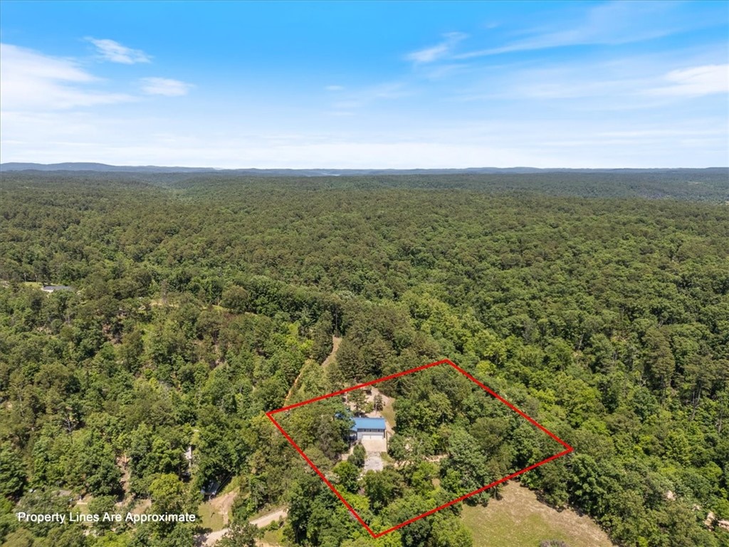 11559 Pine Creek Hollow Road