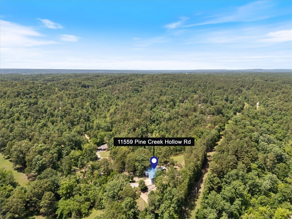 11559 Pine Creek Hollow Road