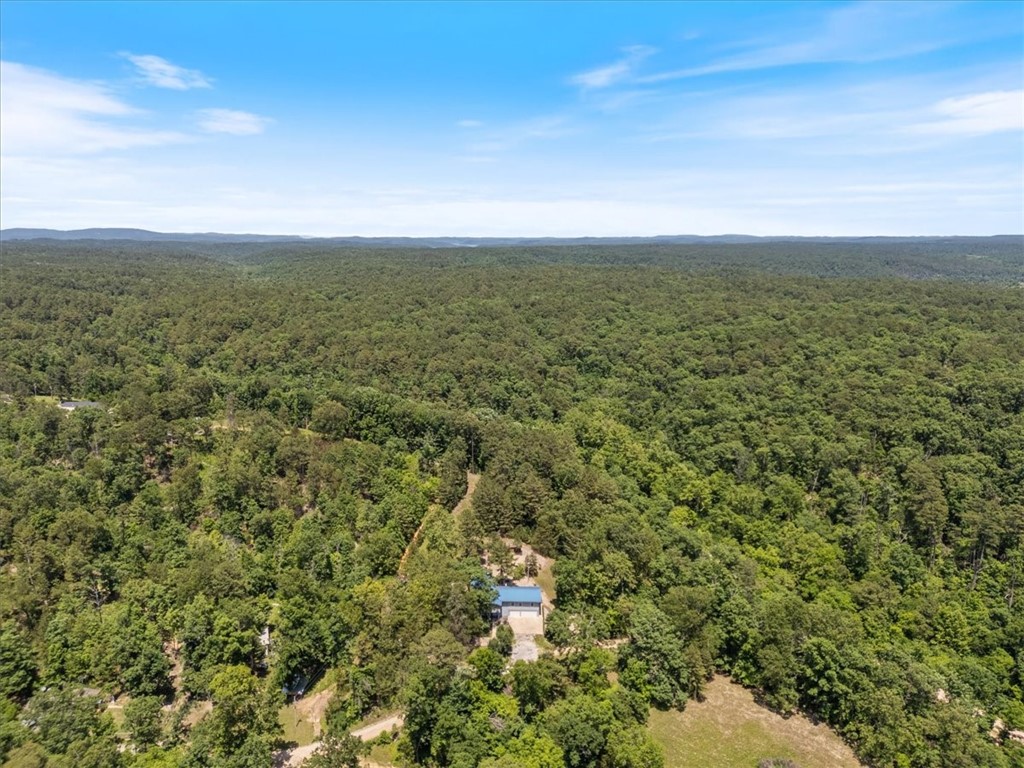 11559 Pine Creek Hollow Road