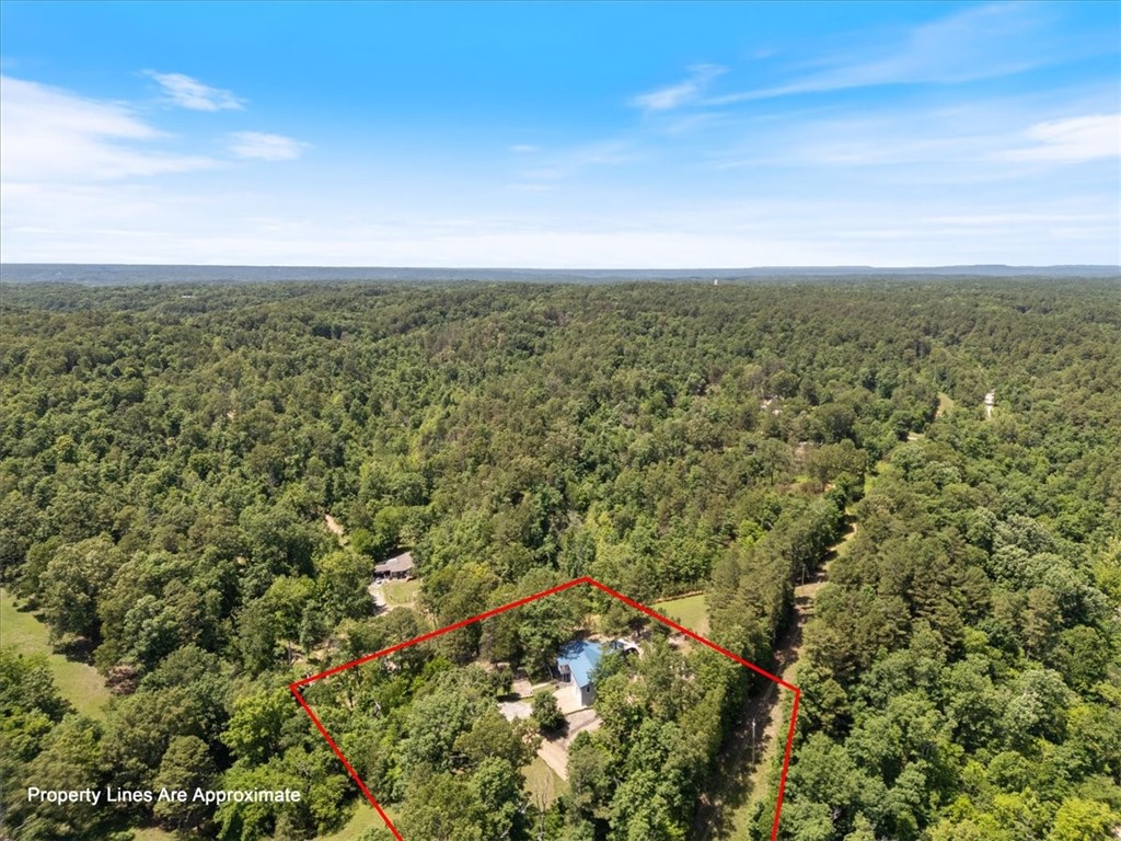 11559 Pine Creek Hollow Road