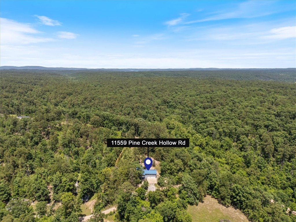 11559 Pine Creek Hollow Road