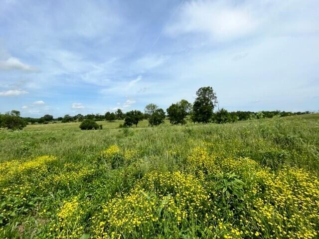 450 Millersburg-Cynthiana Road