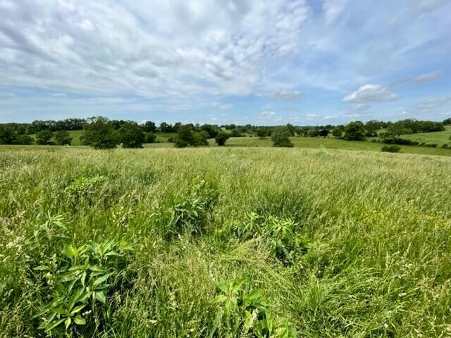 450 Millersburg-Cynthiana Road