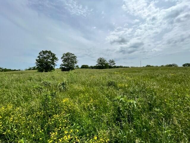 450 Millersburg-Cynthiana Road