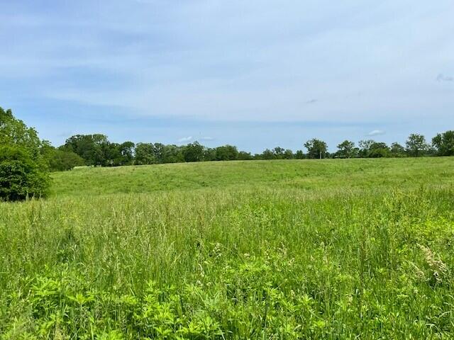 450 Millersburg-Cynthiana Road
