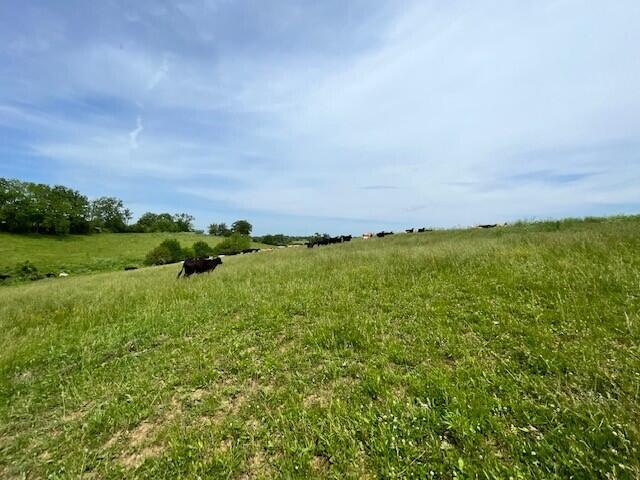 450 Millersburg-Cynthiana Road