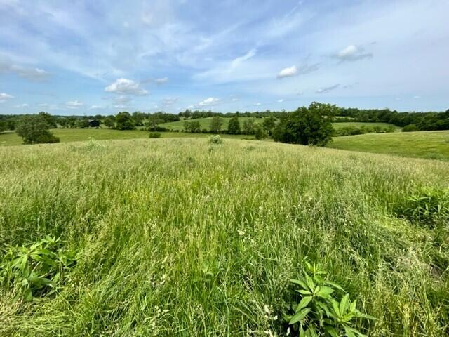 450 Millersburg-Cynthiana Road