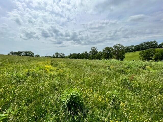 450 Millersburg-Cynthiana Road