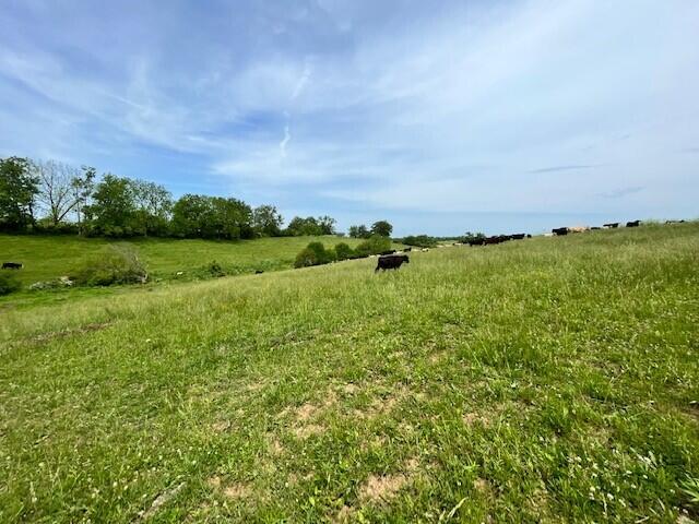 450 Millersburg-Cynthiana Road