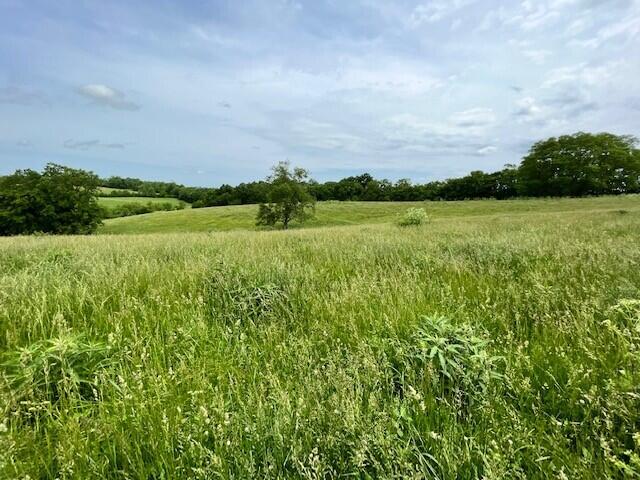 450 Millersburg-Cynthiana Road