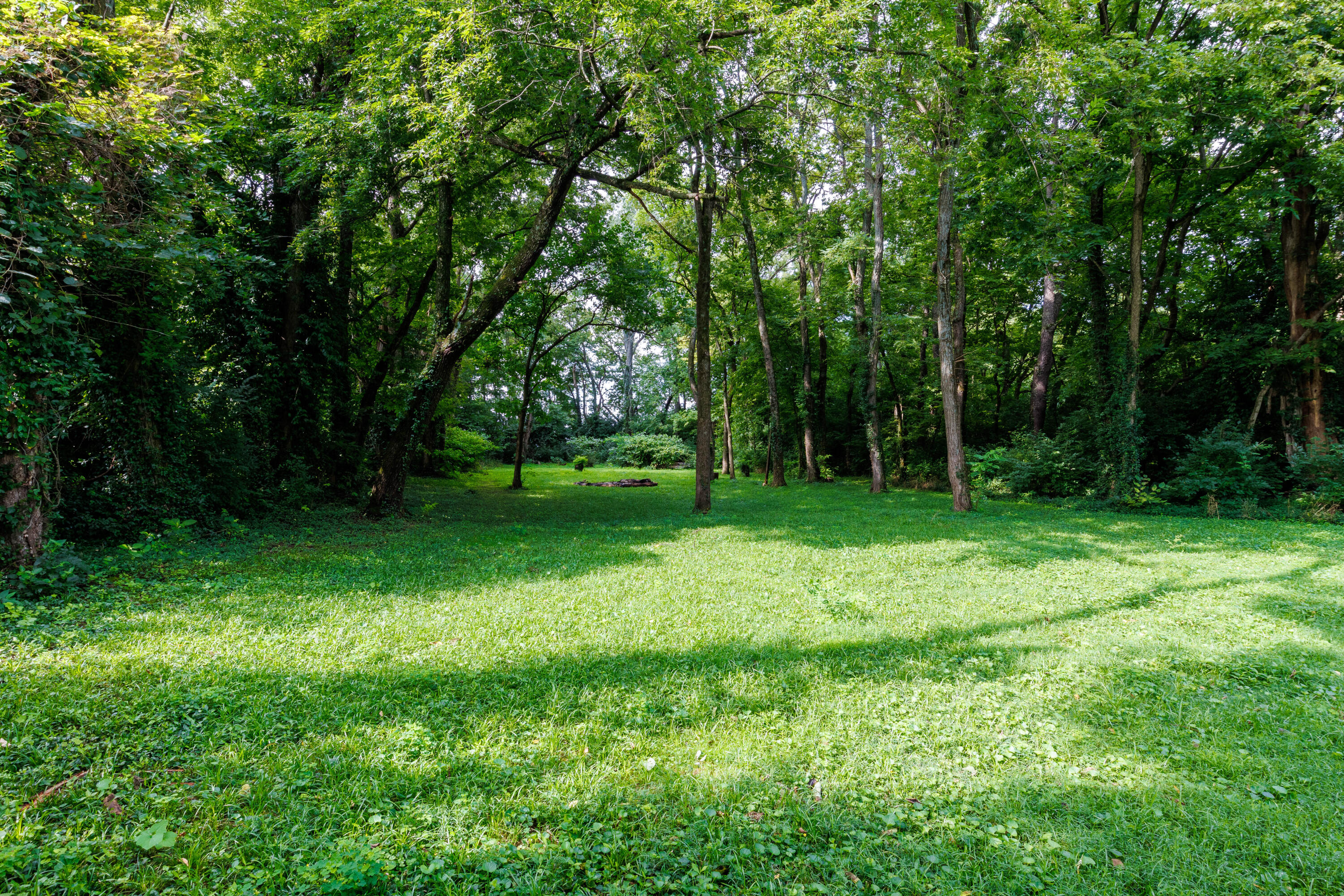 475 Davistown Road