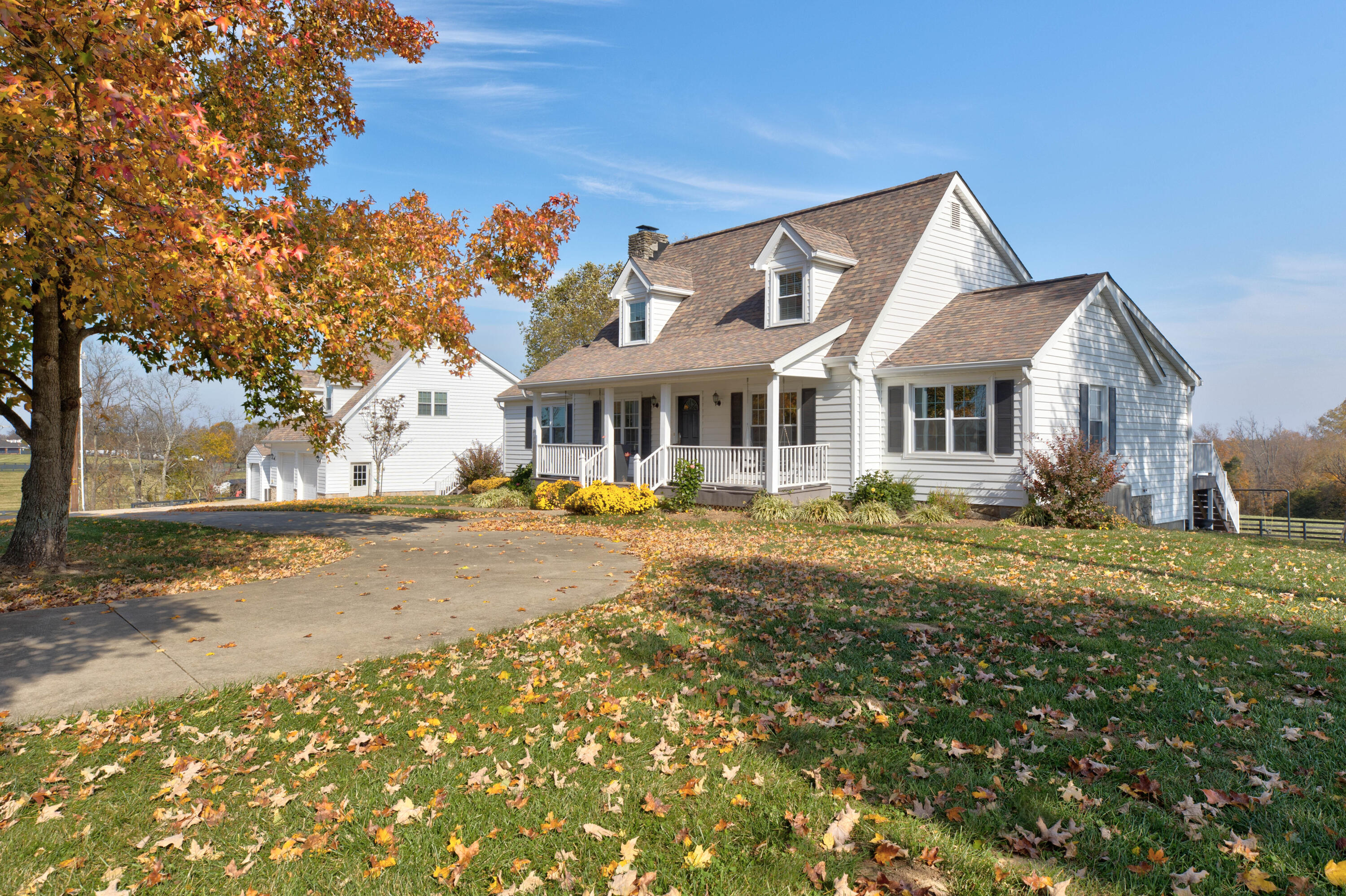10920 Mt Eden Road