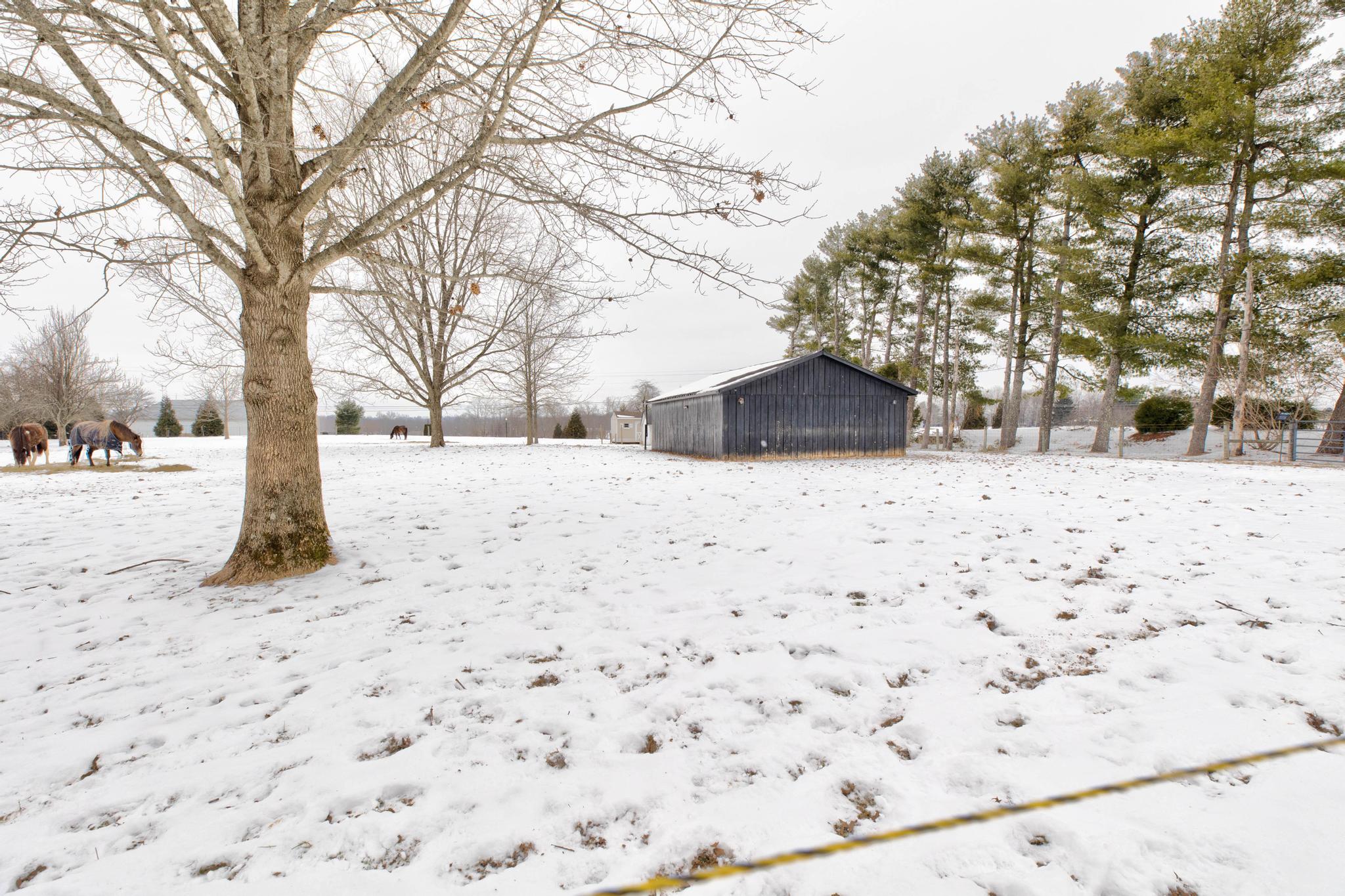1021 Mackey Pike