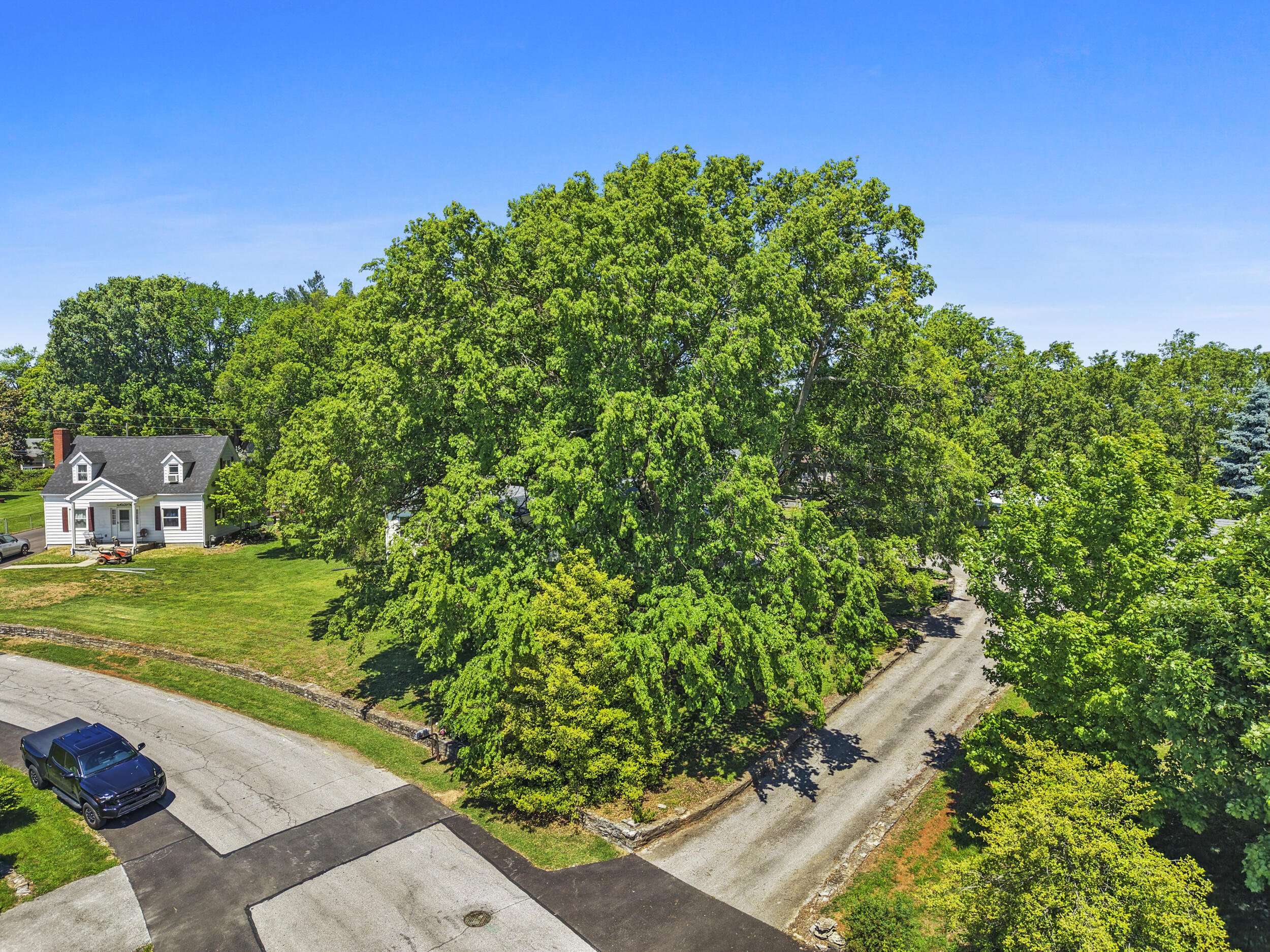 44 Horseshoe Drive