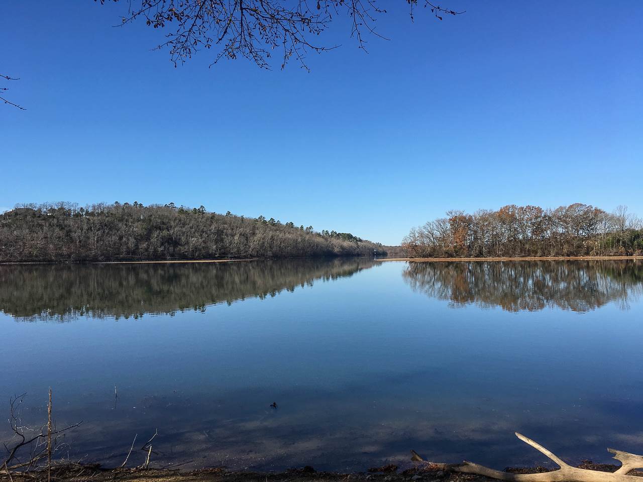 Lot 10 Gibbins Trail