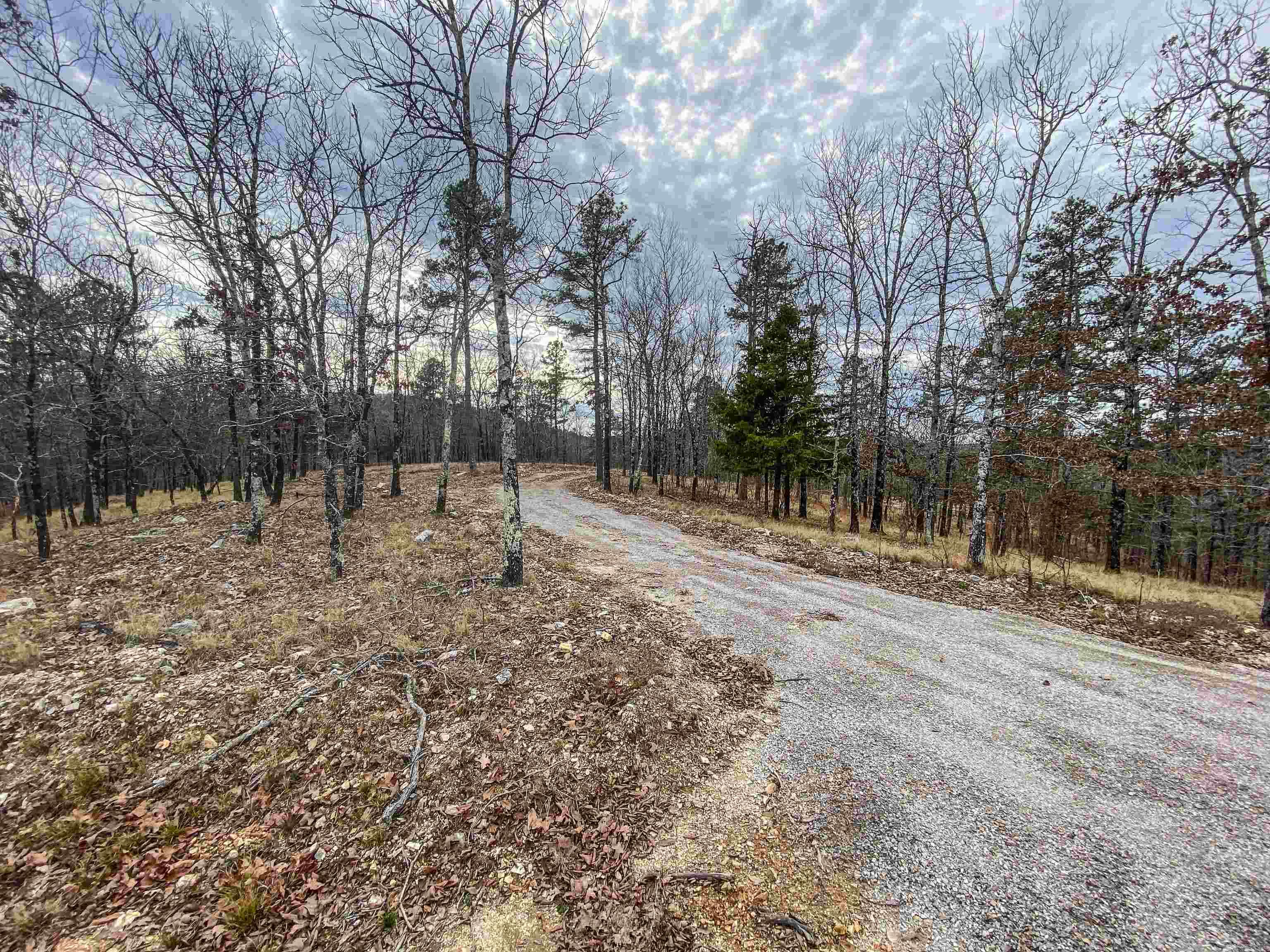 Shorthorn Lane