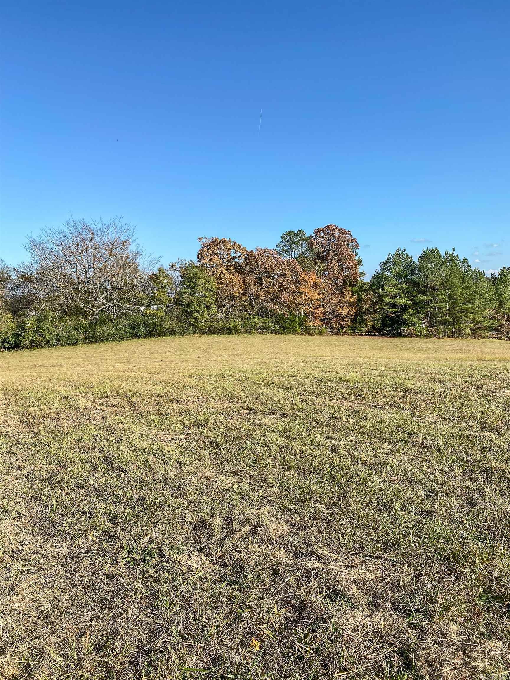 3109 Sunshine Road Unit: Tract A