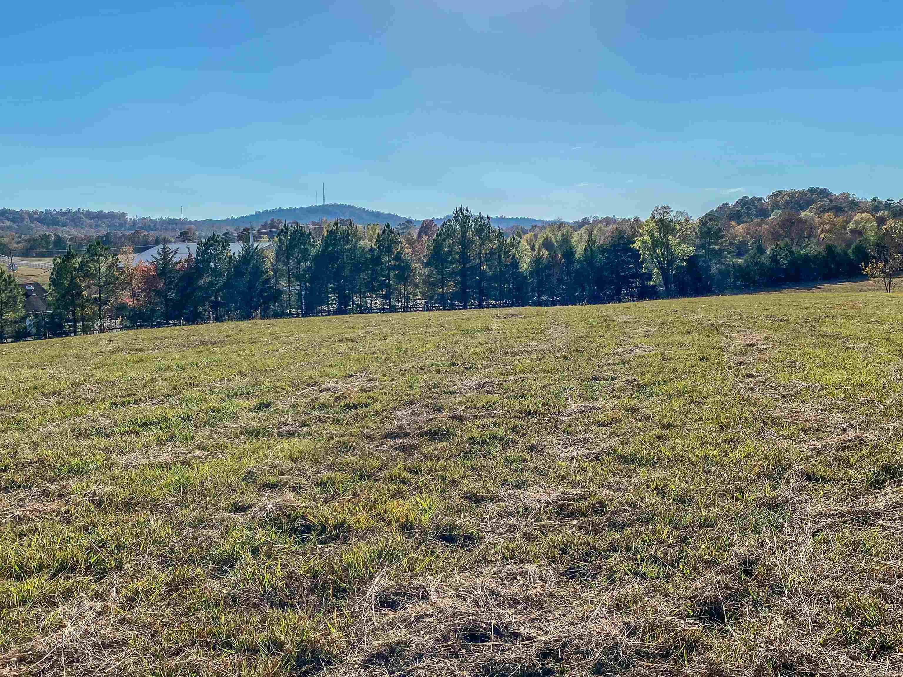 3109 Sunshine Road Unit: Tract C