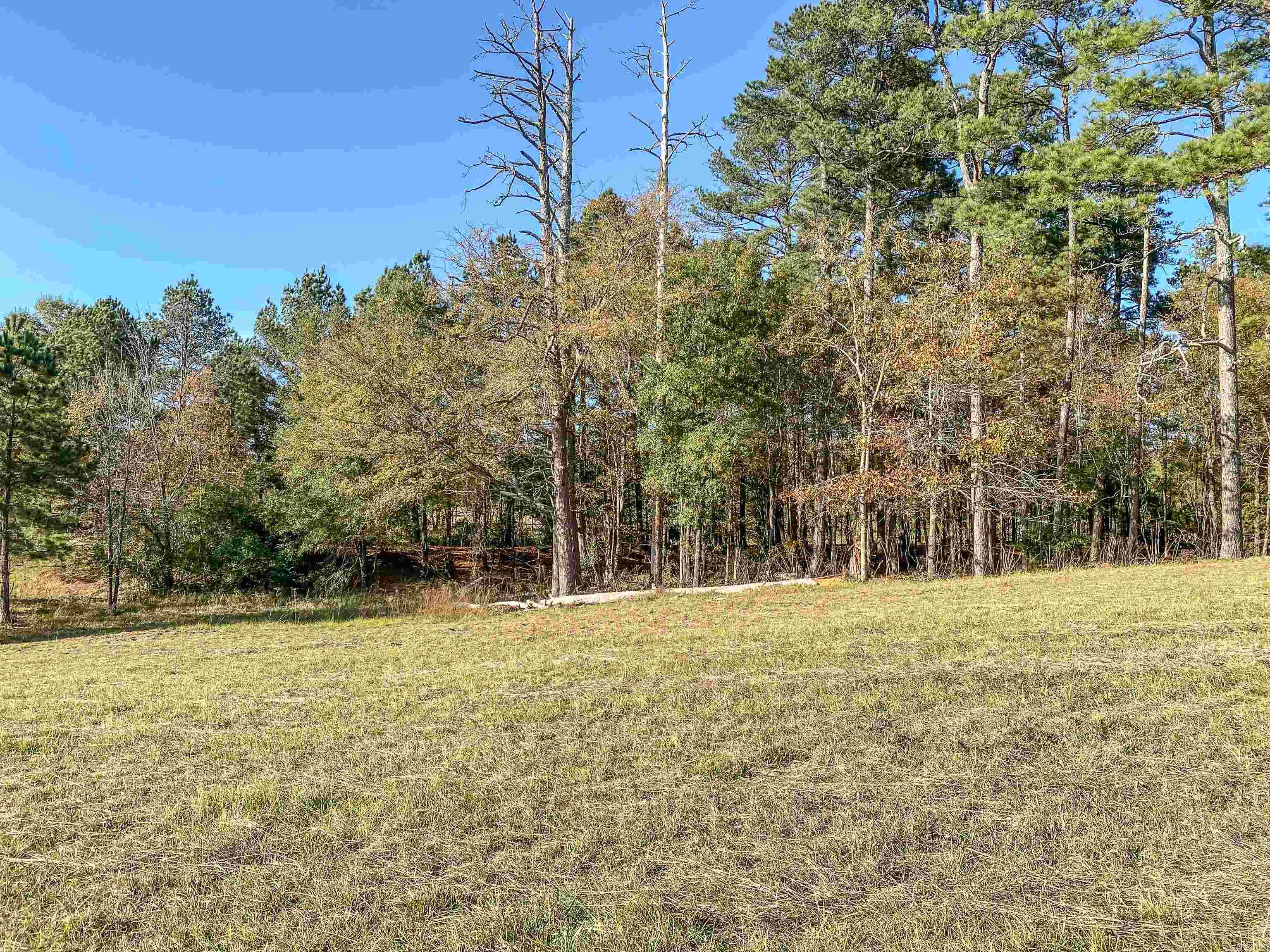 3109 Sunshine Road Unit: Tract C