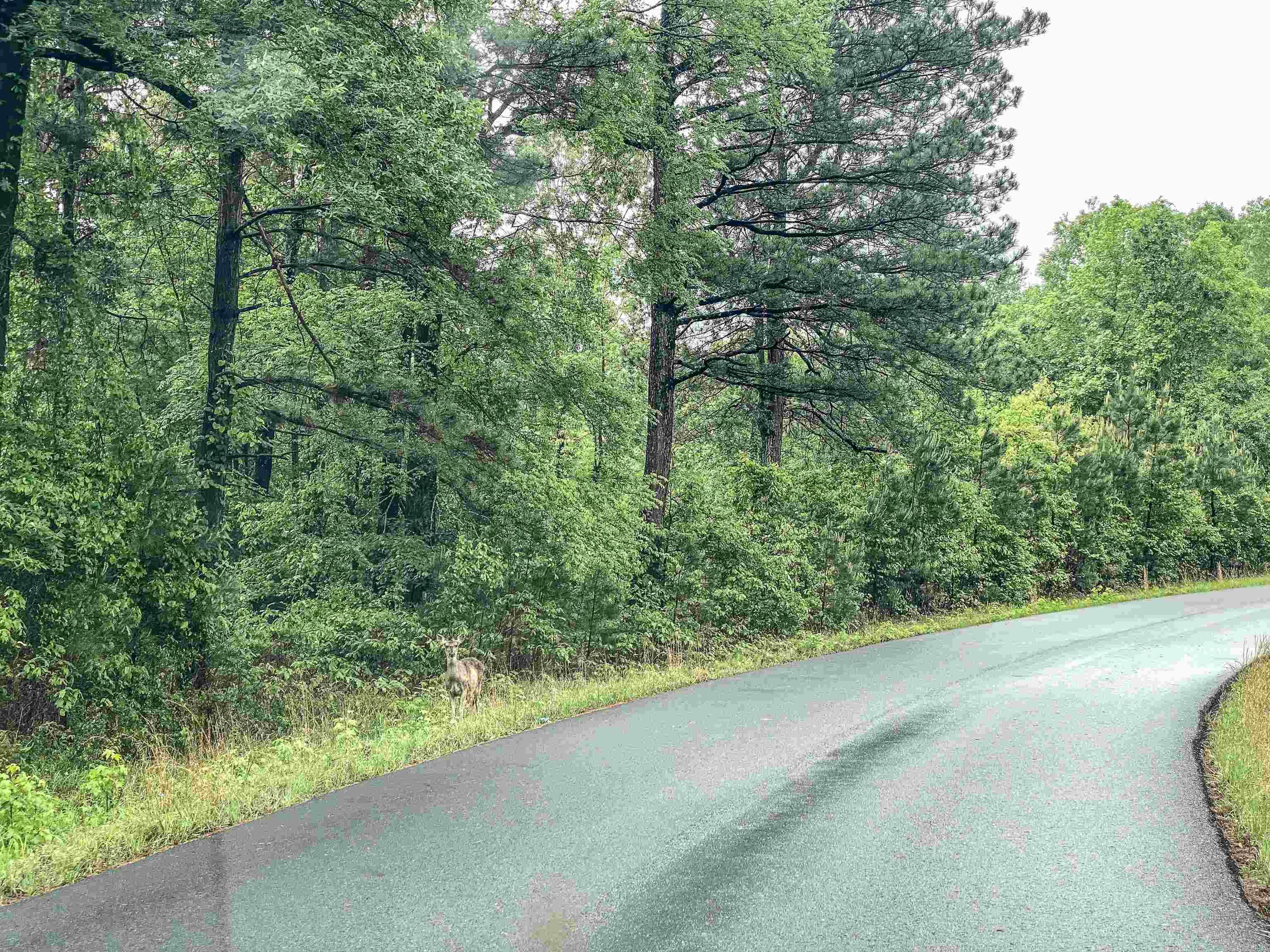 Golf Course Living: 3-Acre Wooded Retreat!