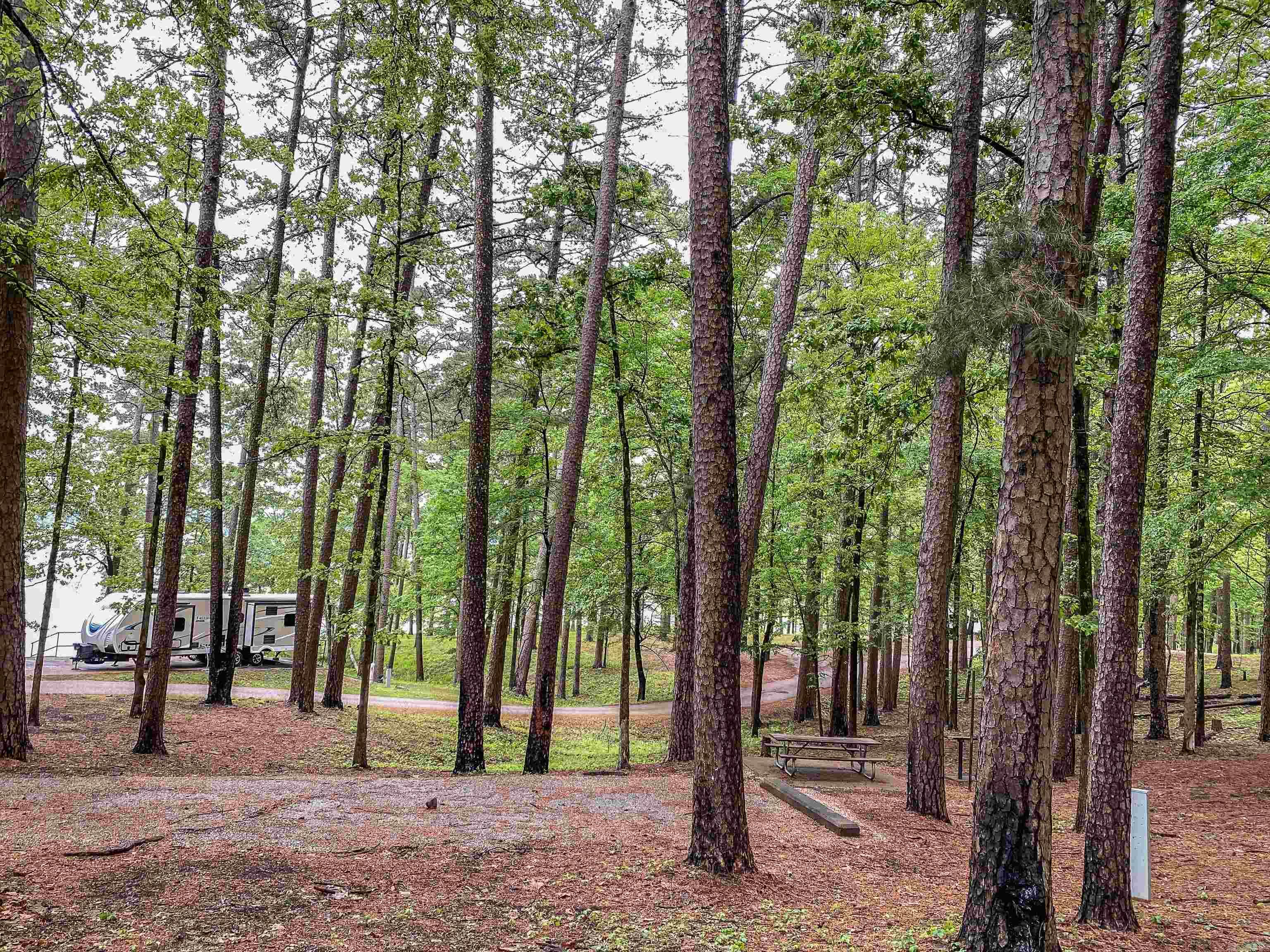 Golf Course Living: 3-Acre Wooded Retreat!