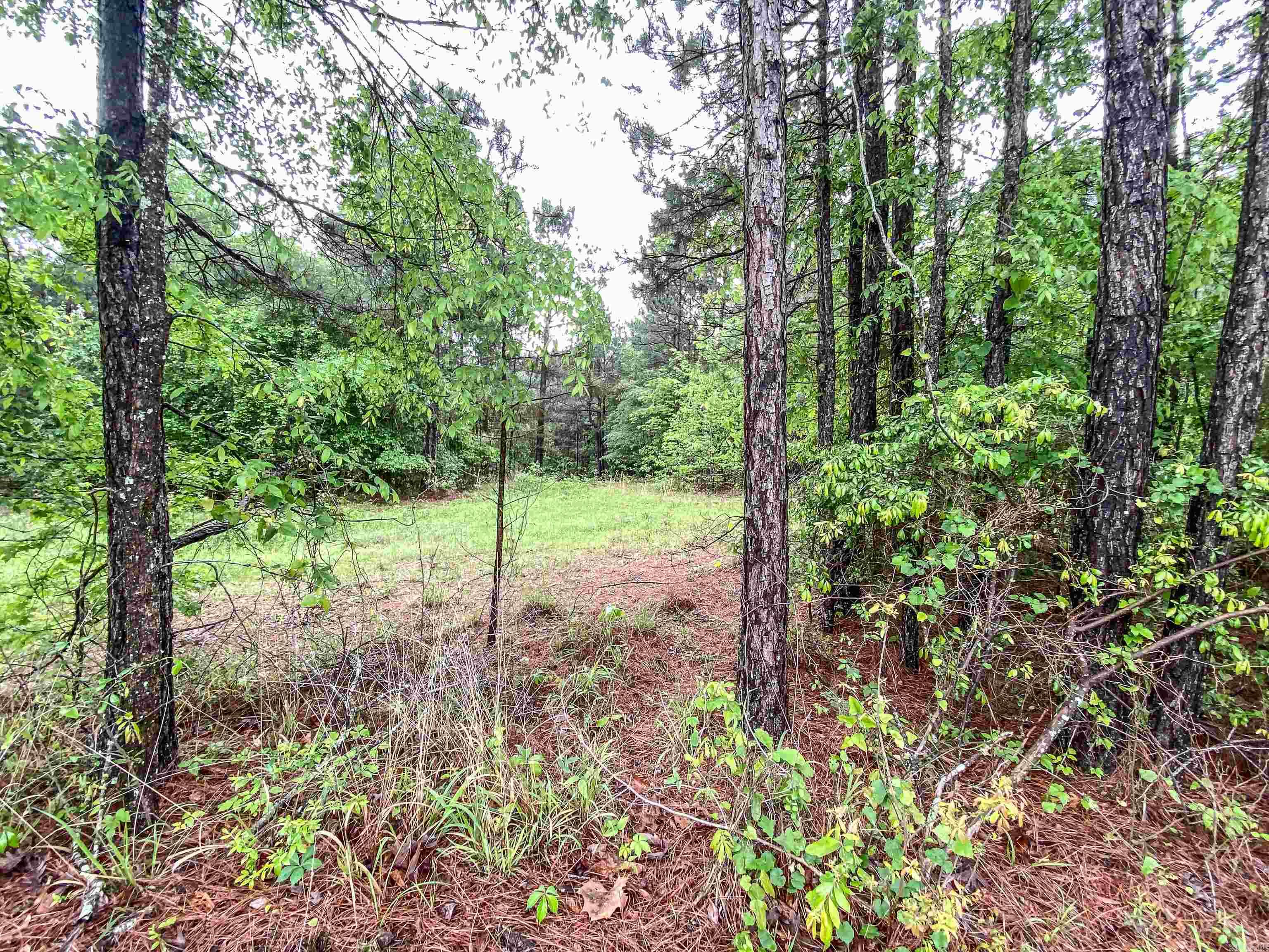 Golf Course Living: 3-Acre Wooded Retreat!